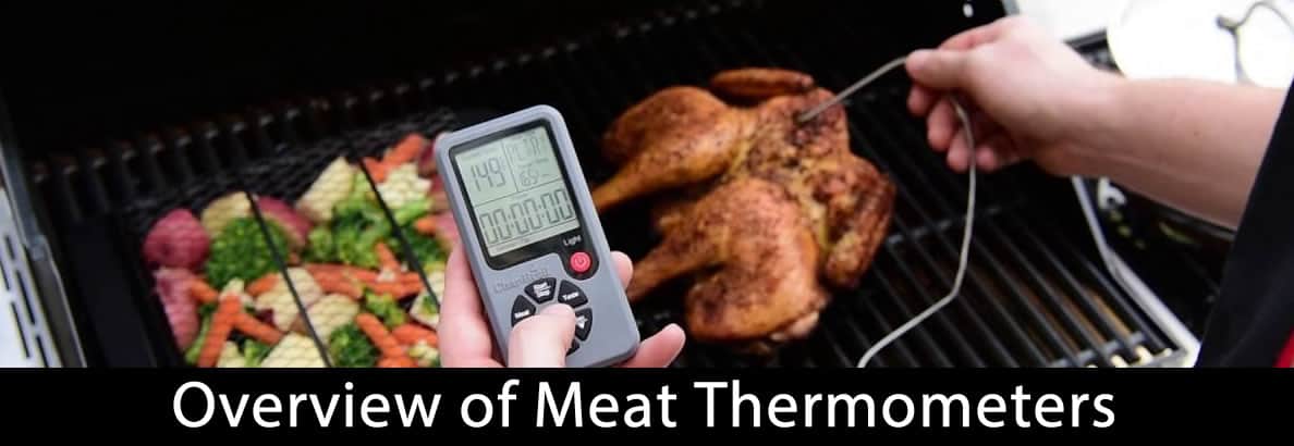 Overview of Meat Thermometers